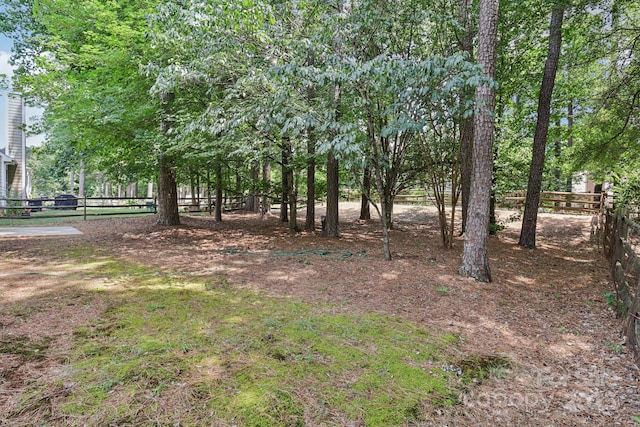 11100 Scrimshaw Ln, Charlotte, NC 28215 - view of yard