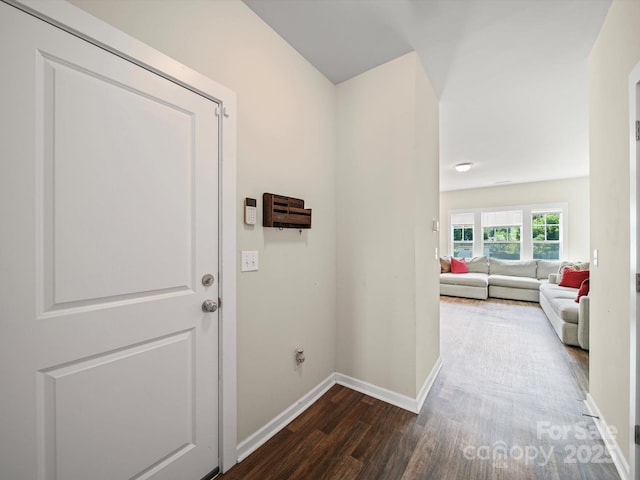 243 Skyland Ave, Charlotte, NC 28205 - photo 12