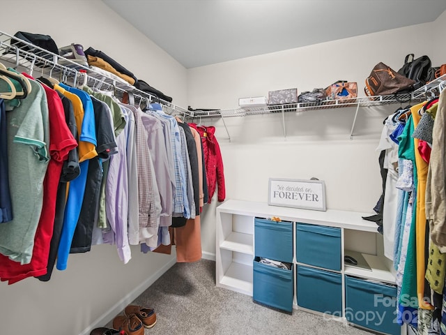 243 Skyland Ave, Charlotte, NC 28205 - photo 27