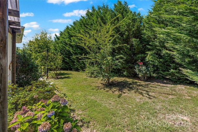 1287 Century Dr, Clover, SC 29710 - view of grassy yard