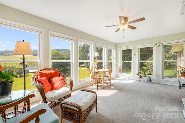 23 Sun Up Ln, Candler, NC 28715 - photo 9