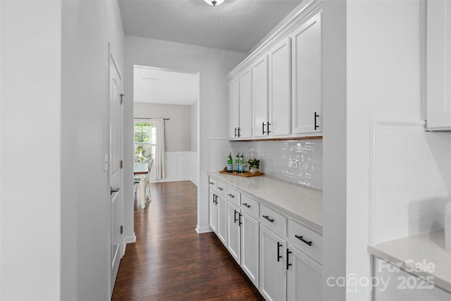 305 Redberry Ct, York, SC 29745 - bar area with dark wood finished floors, a wainscoted wall, and tasteful backsplash