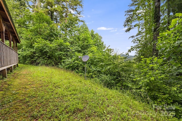 41 Waya Way, Whittier, NC 28789 - view of yard