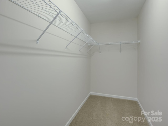1916 Aston Mill Pl, Charlotte, NC 28273 - photo 21
