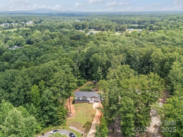 601 Lhasa Apso Ln, Iron Station, NC 28080 - view of subject property featuring a forest