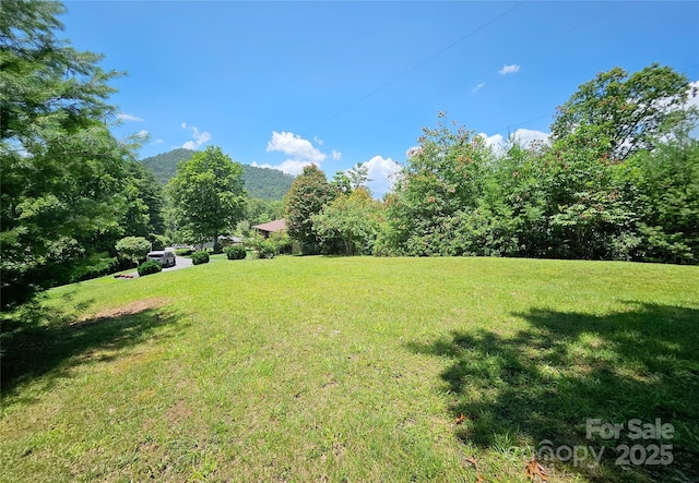 109 Deer Place Rd, Spruce Pine, NC 28777 - photo 8