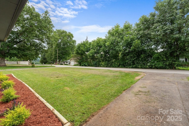 306 Forest Ave, Franklin, NC 28734 - view of green lawn with view of wooded area
