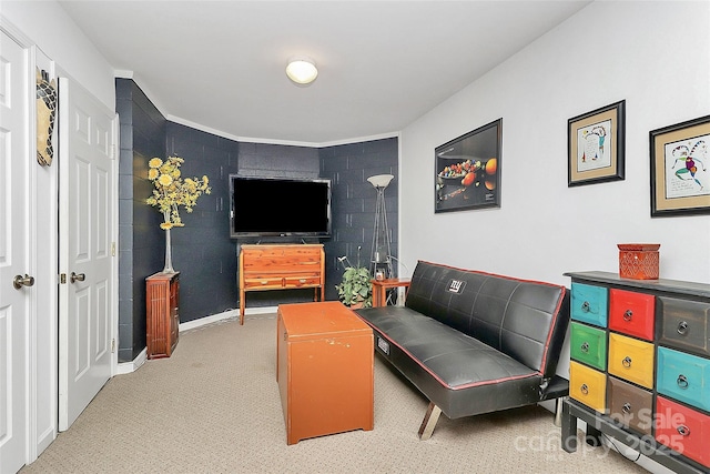 514 Bethel School Rd, Clover, SC 29710 - view of carpeted living area