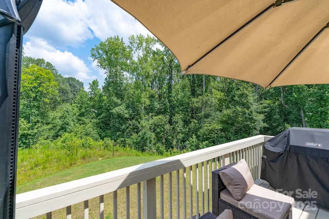 1782 Wildwood Terrace Trl, Fort Mill, SC 29708 - photo 37