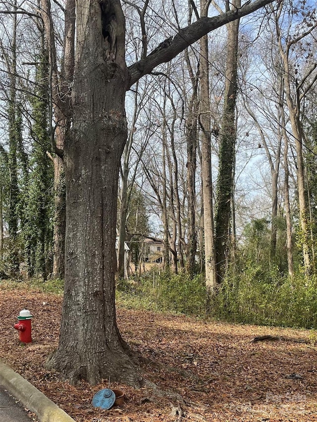 1115 Armstead St, Rockingham, NC 28379
