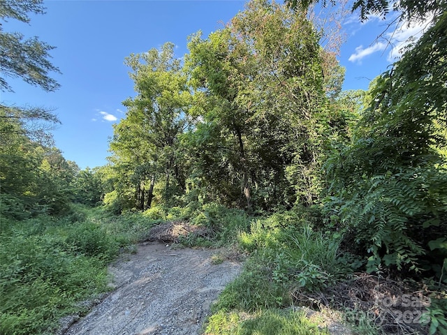 45 Wilde Hollow Dr, Weaverville, NC 28787 - photo 3