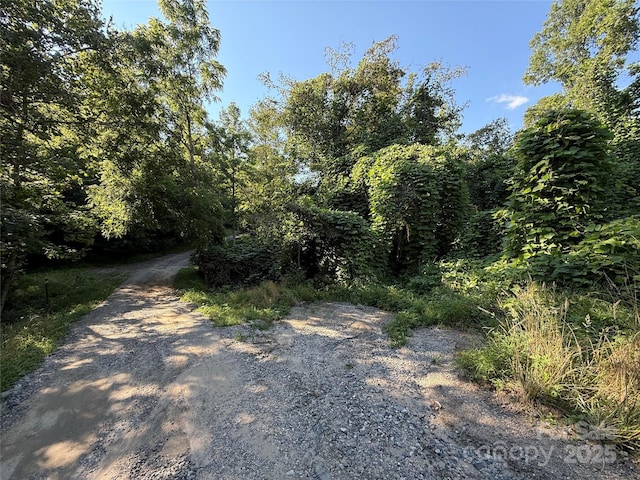 45 Wilde Hollow Dr, Weaverville, NC 28787 - photo 6