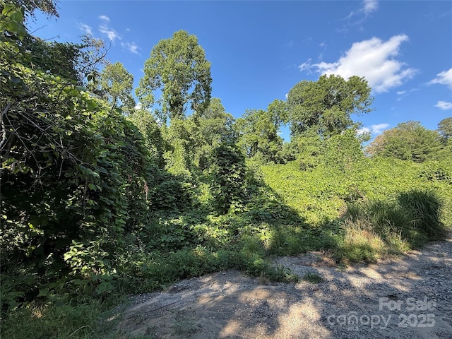 45 Wilde Hollow Dr, Weaverville, NC 28787 - photo 7