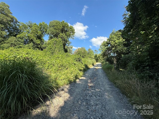 45 Wilde Hollow Dr, Weaverville, NC 28787 - photo 8
