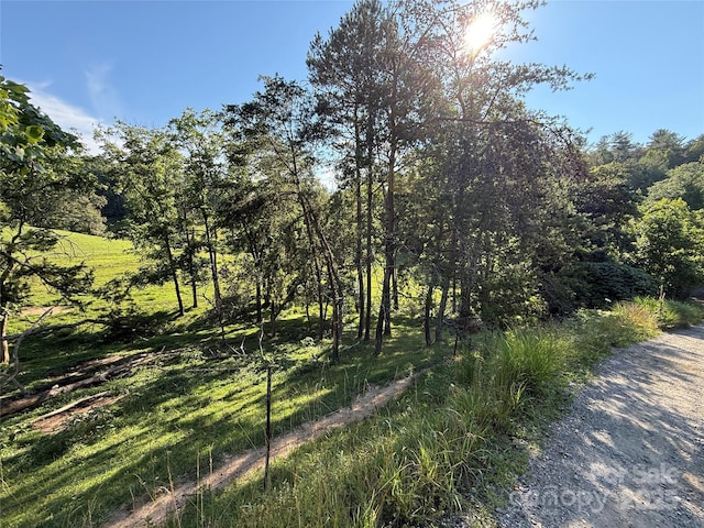 45 Wilde Hollow Dr, Weaverville, NC 28787 - photo 10