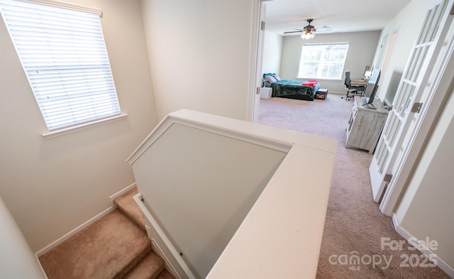 10666 Sapphire Trl, Davidson, NC 28036 - stairway featuring carpet flooring and a ceiling fan