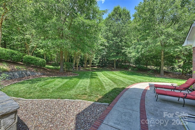 4328 Rochard Ln, Indian Land, SC 29707 - photo 39