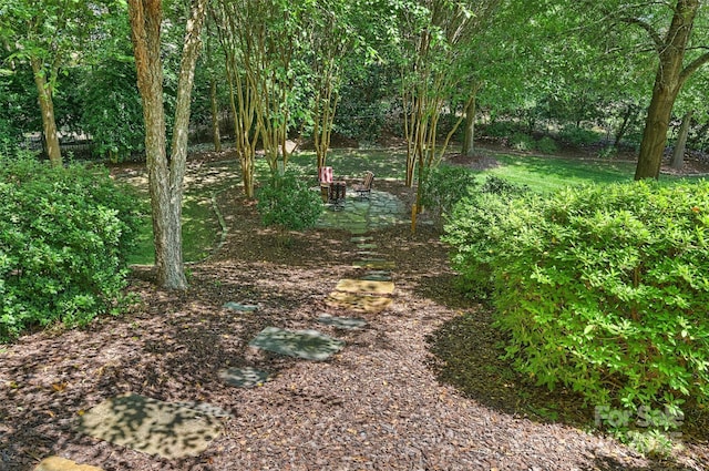 4328 Rochard Ln, Indian Land, SC 29707 - photo 46