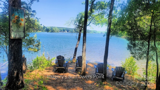 408 Picasso Trl, Mount Holly, NC 28120 - photo 44