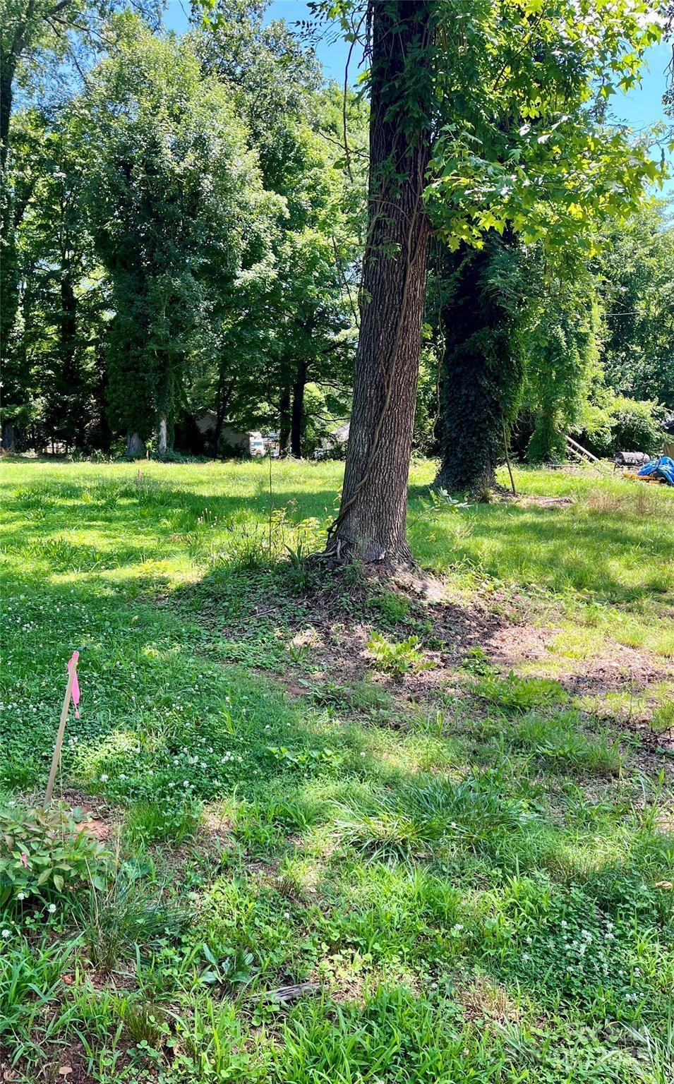 636 Hackett St, Statesville, NC 28677