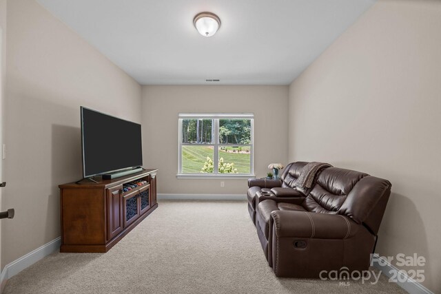 1140 Shinnville Rd, Cleveland, NC 27013 - living area with carpet floors and baseboards