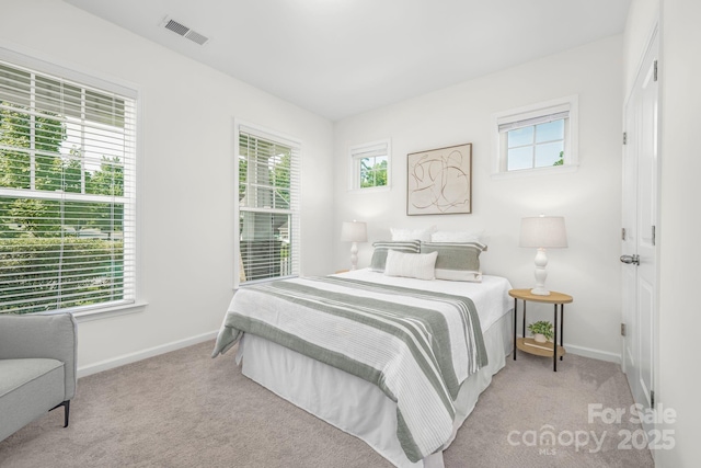 17203 Summers Walk Blvd, Davidson, NC 28036 - bedroom featuring carpet floors