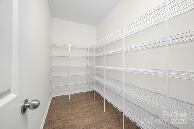 17203 Summers Walk Blvd, Davidson, NC 28036 - view of storage area