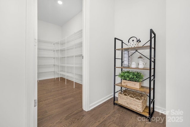 17203 Summers Walk Blvd, Davidson, NC 28036 - view of pantry