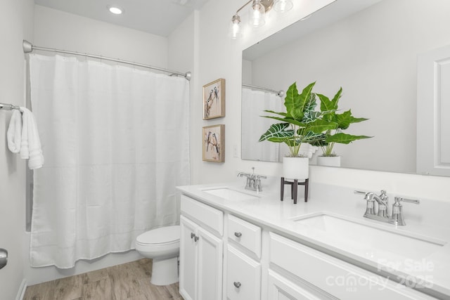 17203 Summers Walk Blvd, Davidson, NC 28036 - full bathroom featuring double vanity and wood finished floors