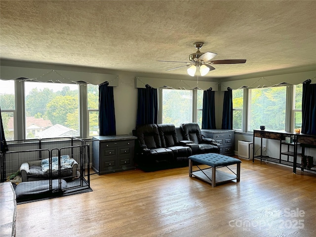 506 Gorman Bridge Rd, Asheville, NC 28806 - photo 13