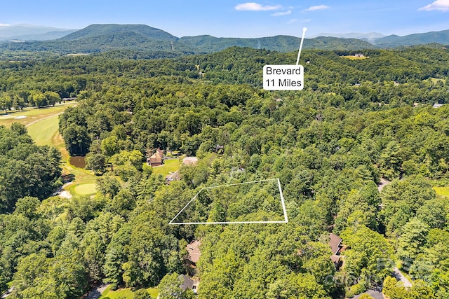 31 W Fairway Dr Unit 24, Etowah, NC 28729