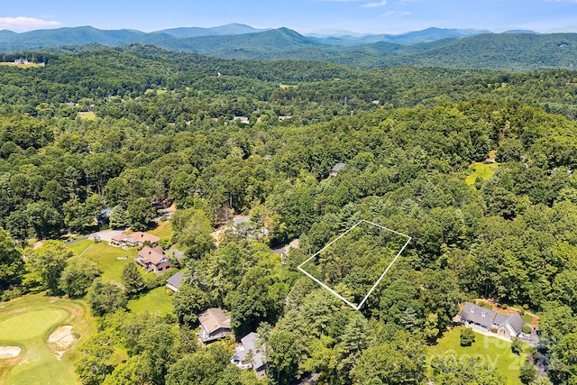 31 W Fairway Dr Unit 24, Etowah, NC 28729