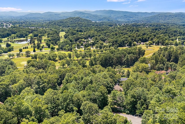 31 W Fairway Dr Unit 24, Etowah, NC 28729