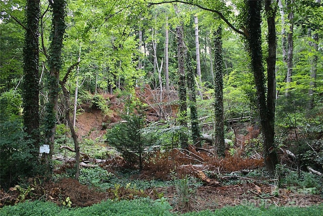 31 W Fairway Dr Unit 24, Etowah, NC 28729