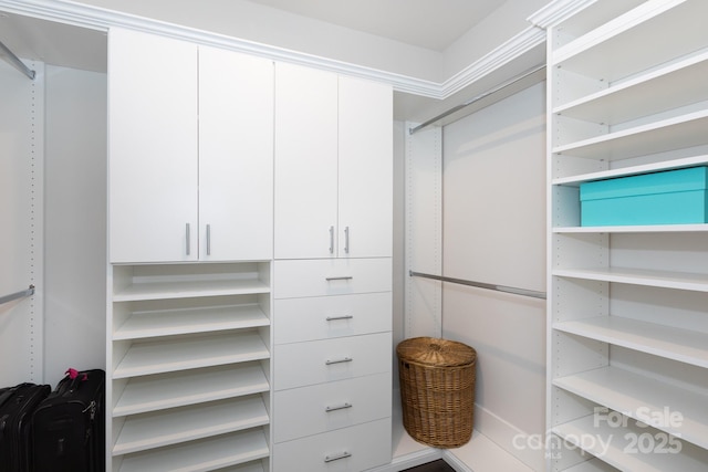 5907 Barrowlands Ct, Charlotte, NC 28210 - view of spacious closet