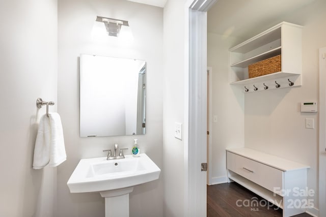 5907 Barrowlands Ct, Charlotte, NC 28210 - bathroom with wood finished floors and a sink