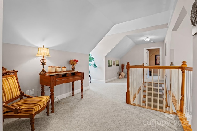1316 Yellowood Ct Unit 56, Rock Hill, SC 29732 - photo 33
