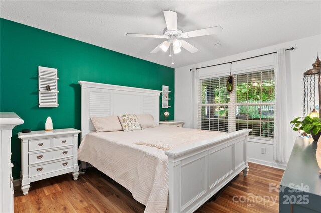 28 Grove Garden Ave, Candler, NC 28715 - photo 12