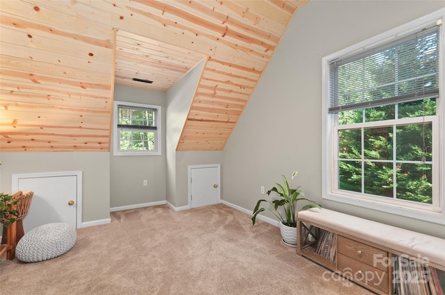 28 Grove Garden Ave, Candler, NC 28715 - photo 17