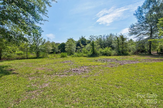 4070 Timrod Rd, Bethune, SC 29009 - photo 32