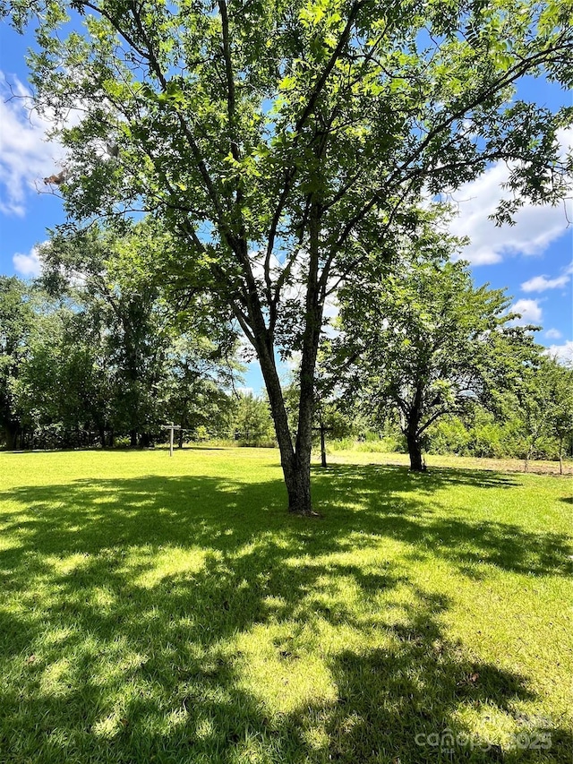 4070 Timrod Rd, Bethune, SC 29009 - photo 4