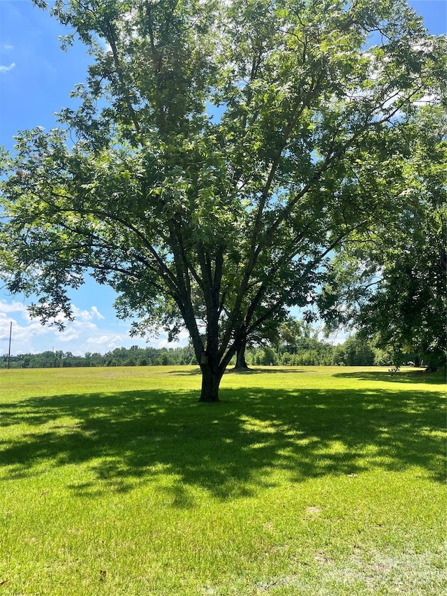 4070 Timrod Rd, Bethune, SC 29009 - photo 46