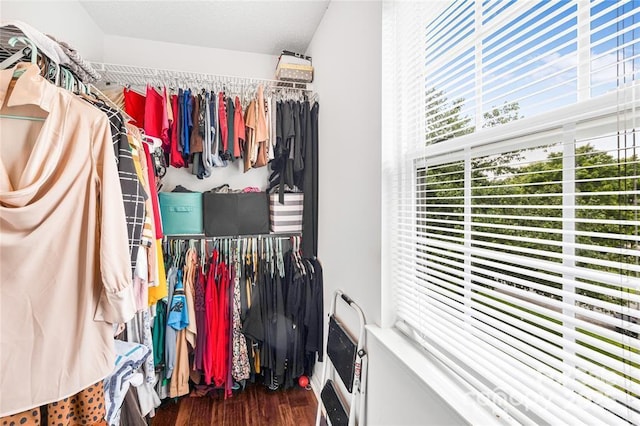 9910 Sandman Ln, Charlotte, NC 28216 - walk in closet with wood finished floors
