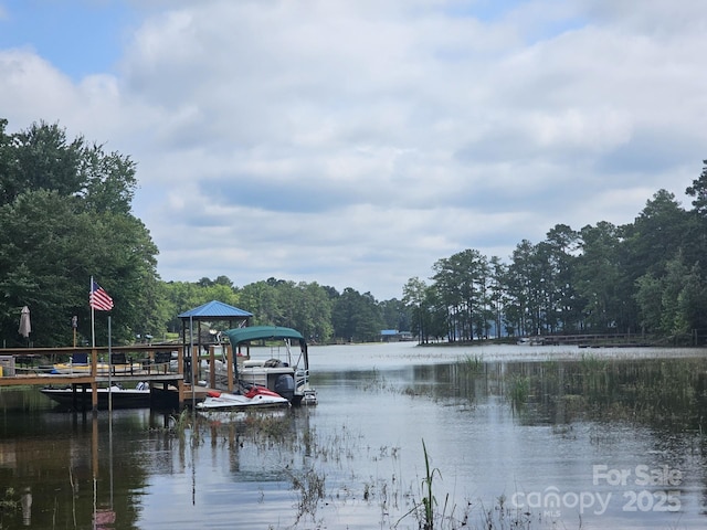 1607 Westshore Dr, Ridgeway, SC 29130 - photo 25