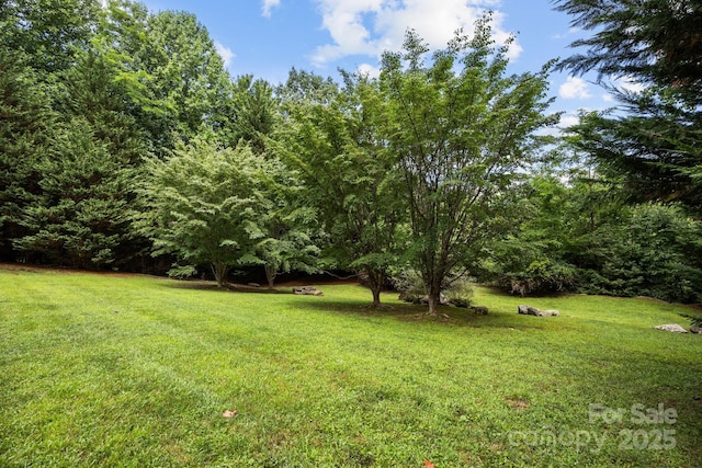 266 Lost Mine Trl Unit 602, Brevard, NC 28712 - view of green lawn