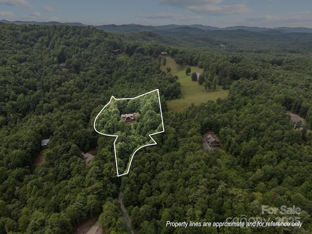 266 Lost Mine Trl Unit 602, Brevard, NC 28712 - aerial view of property and surrounding area featuring property parcel outlined and a mountainous background
