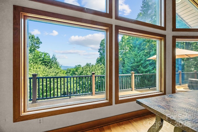 266 Lost Mine Trl Unit 602, Brevard, NC 28712 - detailed view of wood finished floors