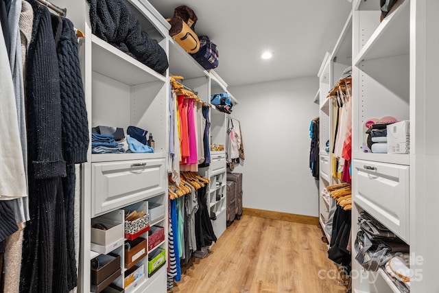 266 Lost Mine Trl Unit 602, Brevard, NC 28712 - walk in closet with light wood-style floors