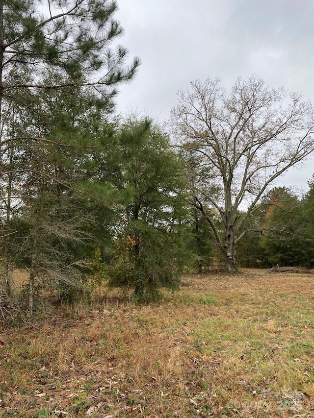 0 Wexford Mill Dr, Wagener, SC 29164 - photo 2