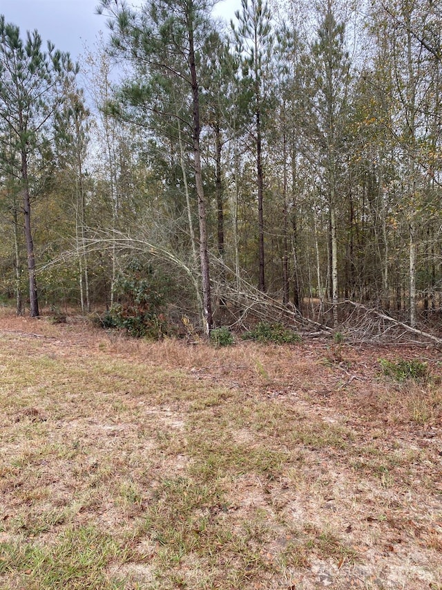 0 Wexford Mill Dr, Wagener, SC 29164 - photo 3